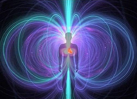 Quantum DNA Evolution Quantum DNA Evolution