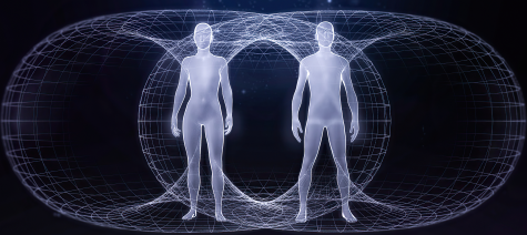Toroidal Field Toroidal Field